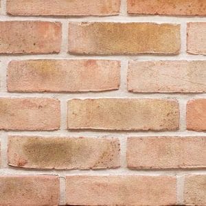 N10 Brick V